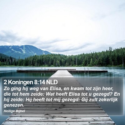 2 Koningen 8:14 NLD Bible Verse Image