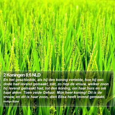 2 Koningen 8:5 NLD Bible Verse Image