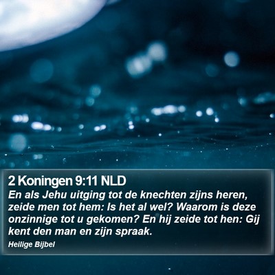 2 Koningen 9:11 NLD Bible Verse Image