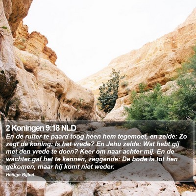 2 Koningen 9:18 NLD Bible Verse Image