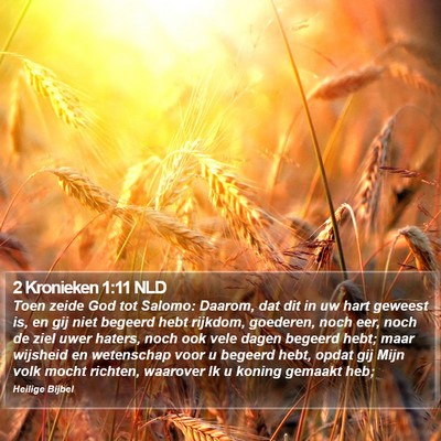 2 Kronieken 1:11 NLD Bible Verse Image
