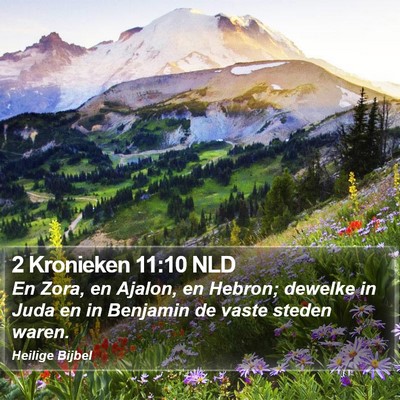 2 Kronieken 11:10 NLD Bible Verse Image