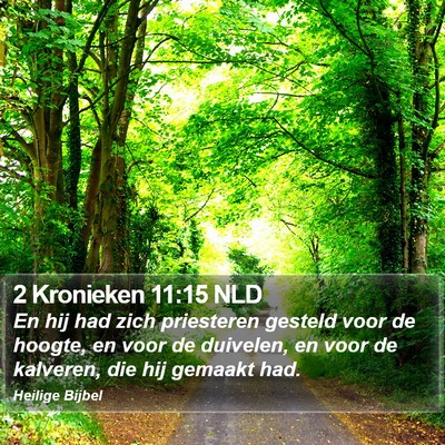 2 Kronieken 11:15 NLD Bible Verse Image