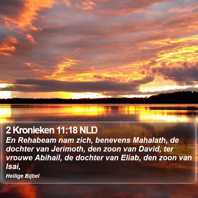 2 Kronieken 11:18 NLD Bible Verse Image