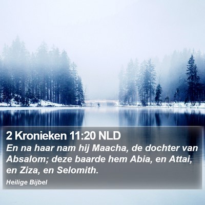 2 Kronieken 11:20 NLD Bible Verse Image