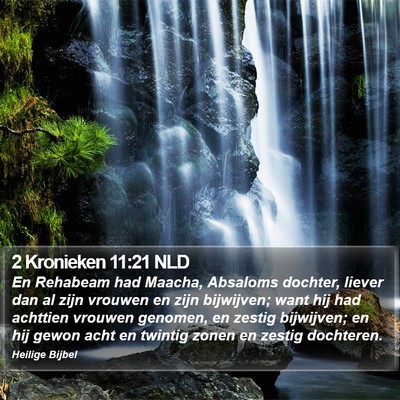 2 Kronieken 11:21 NLD Bible Verse Image