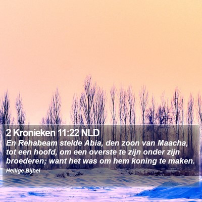 2 Kronieken 11:22 NLD Bible Verse Image