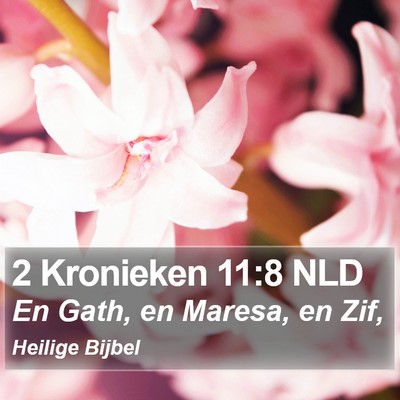 2 Kronieken 11:8 NLD Bible Verse Image