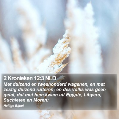 2 Kronieken 12:3 NLD Bible Verse Image