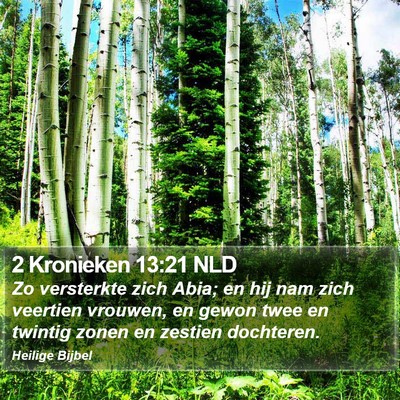 2 Kronieken 13:21 NLD Bible Verse Image