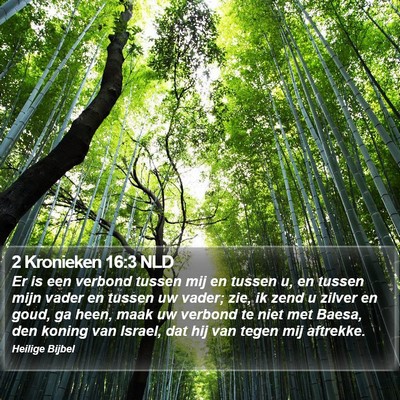 2 Kronieken 16:3 NLD Bible Verse Image
