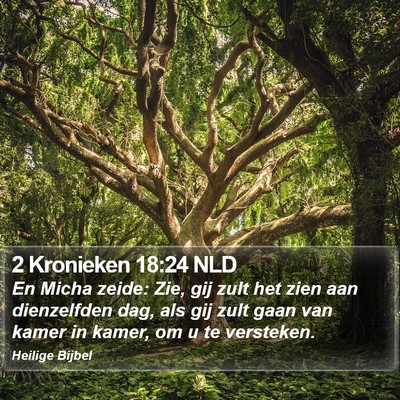 2 Kronieken 18:24 NLD Bible Verse Image