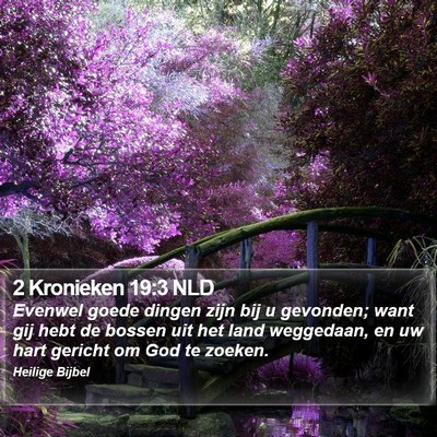 2 Kronieken 19:3 NLD Bible Verse Image