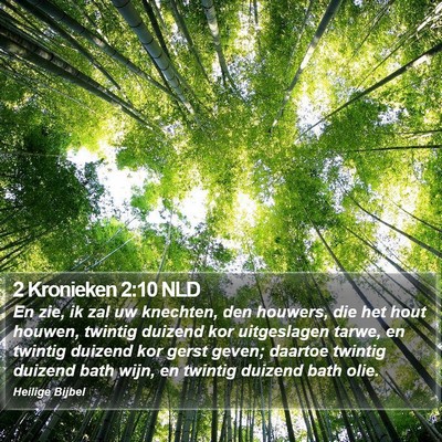 2 Kronieken 2:10 NLD Bible Verse Image
