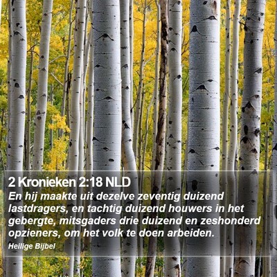 2 Kronieken 2:18 NLD Bible Verse Image