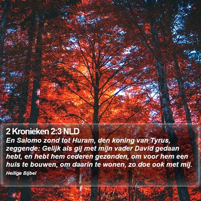 2 Kronieken 2:3 NLD Bible Verse Image