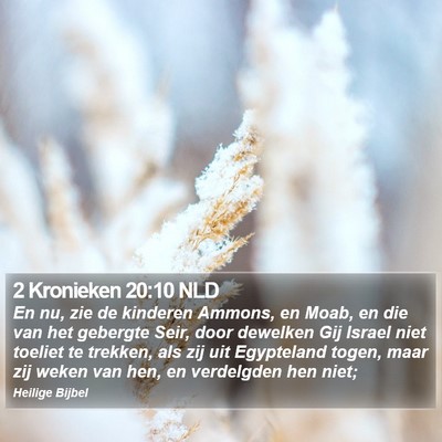 2 Kronieken 20:10 NLD Bible Verse Image
