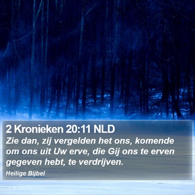 2 Kronieken 20:11 NLD Bible Verse Image