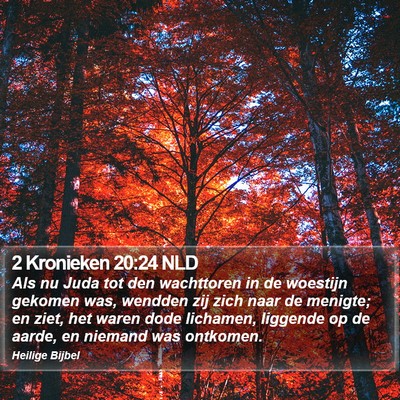 2 Kronieken 20:24 NLD Bible Verse Image