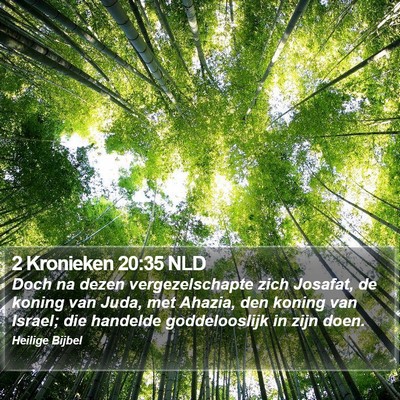 2 Kronieken 20:35 NLD Bible Verse Image