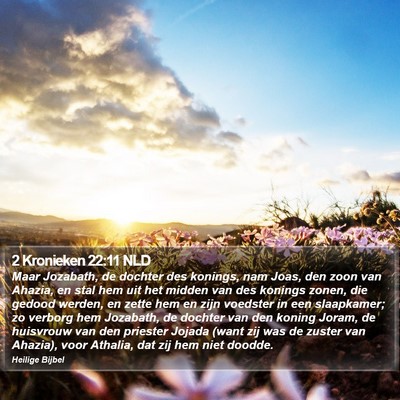 2 Kronieken 22:11 NLD Bible Verse Image