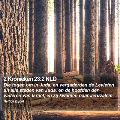 2 Kronieken 23:2 NLD Bible Verse Image