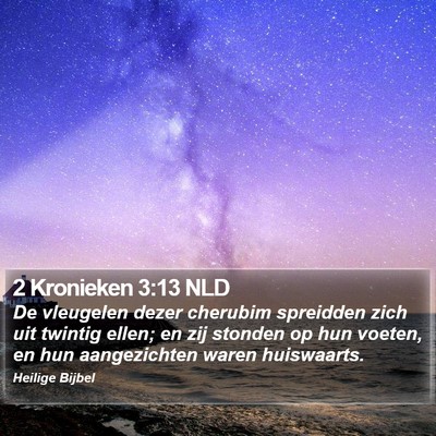 2 Kronieken 3:13 NLD Bible Verse Image