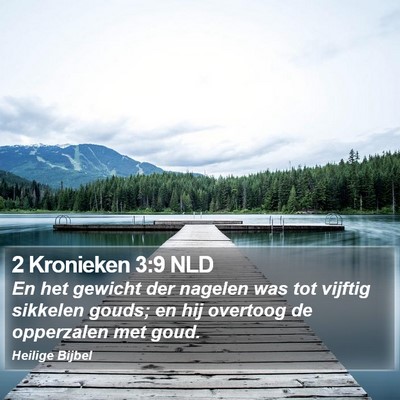 2 Kronieken 3:9 NLD Bible Verse Image