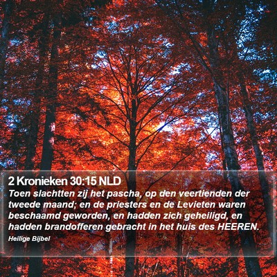 2 Kronieken 30:15 NLD Bible Verse Image