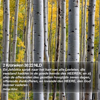 2 Kronieken 30:22 NLD Bible Verse Image