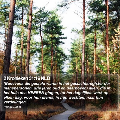 2 Kronieken 31:16 NLD Bible Verse Image