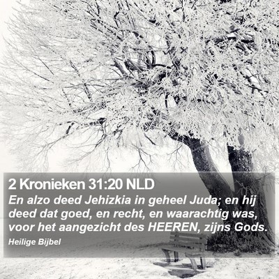 2 Kronieken 31:20 NLD Bible Verse Image