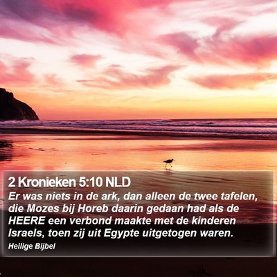 2 Kronieken 5:10 NLD Bible Verse Image