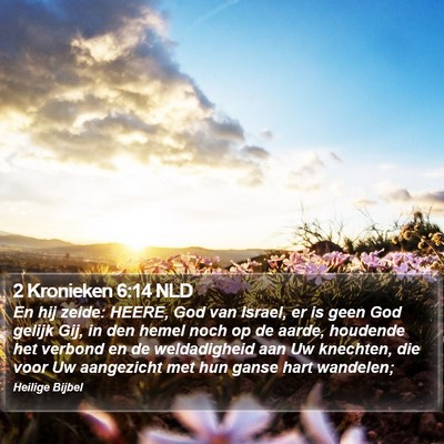 2 Kronieken 6:14 NLD Bible Verse Image