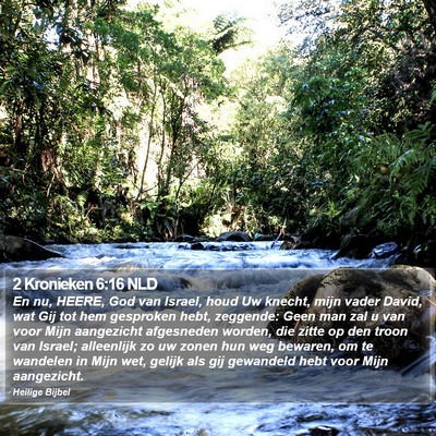 2 Kronieken 6:16 NLD Bible Verse Image