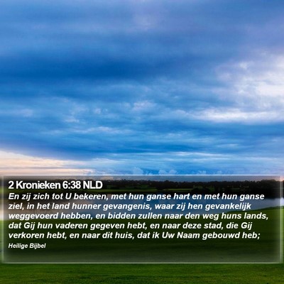 2 Kronieken 6:38 NLD Bible Verse Image