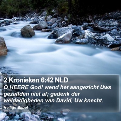 2 Kronieken 6:42 NLD Bible Verse Image