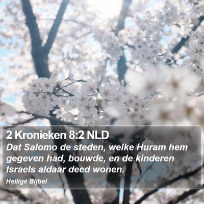2 Kronieken 8:2 NLD Bible Verse Image