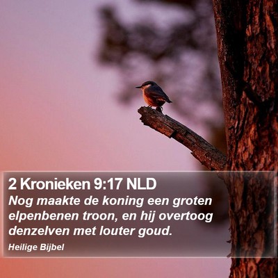2 Kronieken 9:17 NLD Bible Verse Image