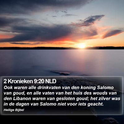 2 Kronieken 9:20 NLD Bible Verse Image