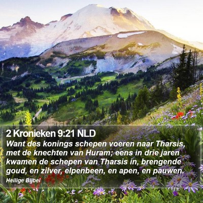 2 Kronieken 9:21 NLD Bible Verse Image