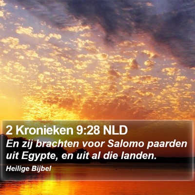 2 Kronieken 9:28 NLD Bible Verse Image