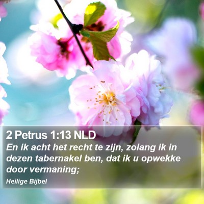 2 Petrus 1:13 NLD Bible Verse Image