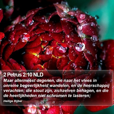 2 Petrus 2:10 NLD Bible Verse Image
