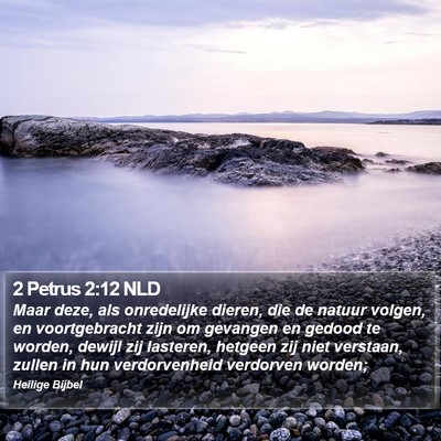 2 Petrus 2:12 NLD Bible Verse Image