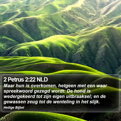2 Petrus 2:22 NLD Bible Verse Image