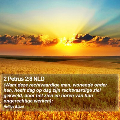 2 Petrus 2:8 NLD Bible Verse Image