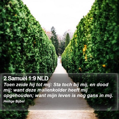 2 Samuël 1:9 NLD Bible Verse Image