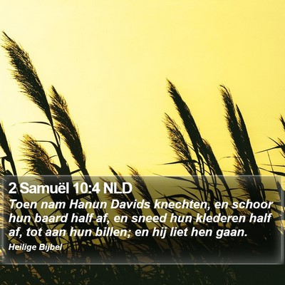 2 Samuël 10:4 NLD Bible Verse Image