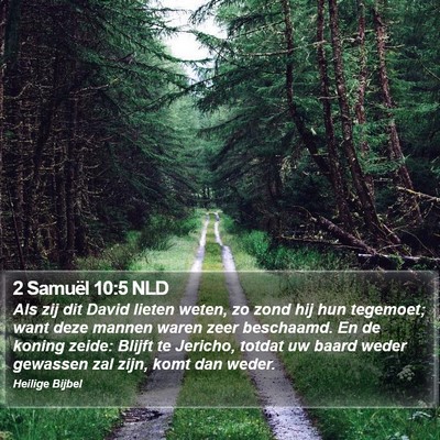 2 Samuël 10:5 NLD Bible Verse Image